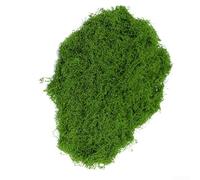 Gdfnmogo Artificial Moss, Outdoor Fake Green Lichen Plants, Artificial Fake Mosses, For Home, Garden,Miniature Fairy Garden Accessories Plant House Decor