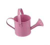 Gdfnmogo Colorful Metal Watering Tin,Mini Watering Can,Ribbon Handle Watering Can,Long Spout Watering Can,Watering Can For Plants(Pink)