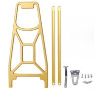 Gdfnmogo Folding Bike Rear Rack for Brompton - CNC Aluminium Carrier Rack Compatible with Pline Cline Models, 340x140mm, 353g Lightweight Design (Black)(Golden)