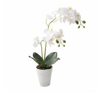Gdfnmogo Realistic Double for stem Orchid 39cm Silk Flower Pot Realistic