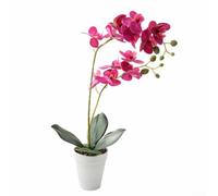 Gdfnmogo Realistic Double for stem Orchid 39cm Silk Flower Pot Realistic