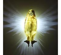 Gdiojnfg Resin Animal Lamp Wall Lamp, Owl Wall Light, Eagle Wall Light? Animal Night Light, Golden Owl Eagle Lamp Battery Operated Wall Sconce, Wall Art Decor, Cute LED Wall Light, Resin Animal Statue