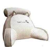 GDJGNUDK Comfortable Reading Cushion Detachable Backrest Pillow, Soft Chair Cushion Arm Rests Back Support Pillow for Adults Reading Relaxing Watching TV Games(Gray,75 * 50cm)