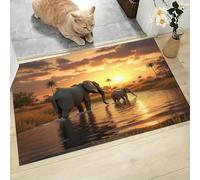GDJSMIN Natural Realism Doormat Decorative Door Mat Indoor,African Elephant Scenery Doormat Washable Floor Mat, Non Slip Entrance Rug For Kitchen Outdoor,Orange,60 x 90 cm