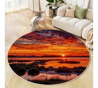 GDJSMIN Round Rugs 180Cm Circle Washable Area Rugs For Living Room Reed Lake Soft Low-Pile Carpets With Non-Slip Backing Sunset Natural Landscape Carpet For Kid’S Bedroom Nursery,Dark Orange