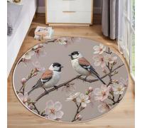 GDJSMIN Rugs Living Room Round 80Cm Naturalistic Style Light Pink Washable Circle Area Rugs Pink Flowers Bird Patterns Bedroom Carpet Round Short Pile Thin Anti Slip For Dining Room Kids