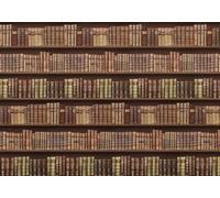 gdkldfg Wallpaper Poster 300cmx240cm Vintage European Style Bookshelf in Brown Wall Mural,Non-Woven Silk,Decorations Living Room Bedroom