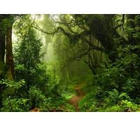 gdkldfg Wallpaper Poster 300x240cm Green Tropical Nature Primeval Forest Wall Mural,Non-Woven Silk,Decorations Living Room Bedroom