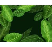 gdkldfg Wallpaper Poster 300x240cm Tropical Green Plants Leaves Giant Natural Landscape Wall Mural,Non-Woven Silk,Decorations Living Room Bedroom