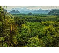 gdkldfg Wallpaper Poster 350x250cm Green Tropical Primeval Forest Natural Landscape Wall Mural,Non-Woven Silk,Decorations Living Room Bedroom