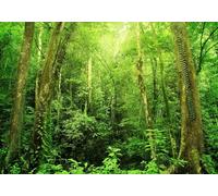 gdkldfg Wallpaper Poster 430x300cm Green Tropical Jungle Primeval Forest Nature Wall Mural,Non-Woven Silk,Decorations Living Room Bedroom