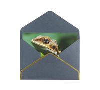 GDSHJKLW Animal Lizard Greeting Card with Black Envelopes, 4x6 Thinking of You Cards Happy Birthday Wedding Invitation Blank Note Card for All Occasions