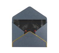 GDSHJKLW Black Red Eyed Wolf Greeting Card with Black Envelopes, 4x6 Thinking of You Cards Happy Birthday Wedding Invitation Blank Note Card for All Occasions