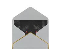 GDSHJKLW Black Red Eyed Wolf Greeting Card with Light Grey Envelopes, 4x6 Thinking of You Cards Happy Birthday Wedding Invitation Blank Note Card for All Occasions
