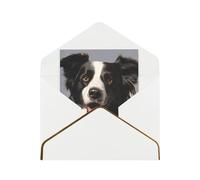 GDSHJKLW Border Collie Greeting Card with White Envelopes, 4x6 Thinking of You Cards Happy Birthday Wedding Invitation Blank Note Card for All Occasions