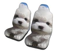 GDSHJKLW Car Front Seat Covers Set of 2, Elastic Breathable Car Front Seat Protector Soft Comfy Vehicle Seats Cushion Cover Bichon Frise Dog Car Accessories Universal for Most SUV Sedan Truck