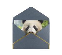 GDSHJKLW cute animal bear Greeting Card with Black Envelopes, 4x6 Thinking of You Cards Happy Birthday Wedding Invitation Blank Note Card for All Occasions