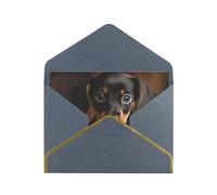 GDSHJKLW Dog Dachshund Greeting Card with Black Envelopes, 4x6 Thinking of You Cards Happy Birthday Wedding Invitation Blank Note Card for All Occasions