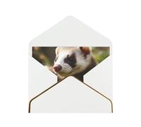 GDSHJKLW Foraging ferret Greeting Card with White Envelopes, 4x6 Thinking of You Cards Happy Birthday Wedding Invitation Blank Note Card for All Occasions
