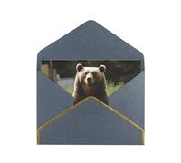 GDSHJKLW Hi Bear Sit on the lawn Greeting Card with Black Envelopes, 4x6 Thinking of You Cards Happy Birthday Wedding Invitation Blank Note Card for All Occasions