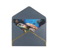 GDSHJKLW Ocean Animal Turtle Greeting Card with Black Envelopes, 4x6 Thinking of You Cards Happy Birthday Wedding Invitation Blank Note Card for All Occasions