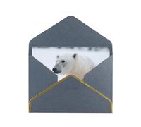 GDSHJKLW Snow Animal Polar Bear Greeting Card with Black Envelopes, 4x6 Thinking of You Cards Happy Birthday Wedding Invitation Blank Note Card for All Occasions