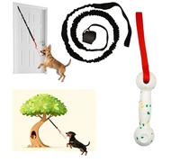 GDuolaPaws Hanging Dog Bungee Tug Toy for Puppy Small Medium Dogs, Indoor Spring Pole Over Door, Outdoor Tree Tether Tug, Interactive Pull Rope with Durable ETPU Head for Bumper Fetch and Chew