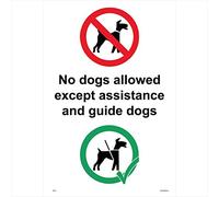 GE473 No Dogs Allowed Except Assistance And Guide Dogs SIGN sight blind work 100mm x 150mm Sticker/Sav - White Background