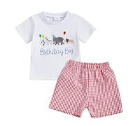 Geagodelia Baby Boy 1st Birthday Outfit Short Sleeve Top and Shorts 1 Year Old Baby Birthday Clothes for Cake Smash (Gingham Animals Birthday Boy Red, 18-24 Months)