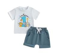 Geagodelia First Birthday Outfits Baby Boy Summer One Birthday Clothes Toddler Boys Number Pattern Animal T-shirt Rolled Shorts