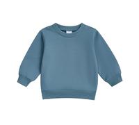 Geagodelia Toddler Baby Boy Girl Sweatshirt Solid Color Long Sleeve Round Neck T Shirt Pullovers Soft Light and Thin Shirts Tops Fall Winter Sweatshirt Outwear for Boys Outfits (Blue, 2-3 Years)