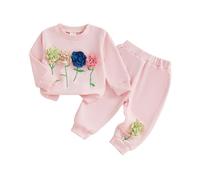 Geagodelia Toddler Girls Outfits Creative 3D Flower Embroidery Long Sleeve Sweatshirt Pullover Tops Shirts and Floral Decor Elastic Waist Long Pants Sets 2Pcs Baby Girl Clothing (Pink, 12-18 Months)