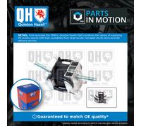 Gearbox Mounting EM2141 Quinton Hazell Transmission 7700766126 Quality New
