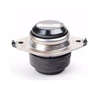 Gearbox Transmission Mounting Engine Motor Mounts Compatible with Mercedes-Benz W164 ML320 ML350 A1662400618 A2512404417(Right A2512404417)