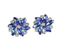 Geardeangloow 2 Pieces Rhinestone Shoe Clips Jewelry Crystal Shoe Buckle Wedding Dress Diamond, Blue, 1 pair