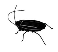 Geardeangloow Children Baby Solar Power Energy Insect Bug Grasshopper Kids Toy Gift Solar Novelty Funny Toys, Style 02