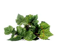 Geardeangloow Reptile Terrarium Grapes Ivy Vines Vivarium Ornament Artificial Plant Decor