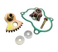 Gearshift Fan Gear Set Driven P0040002321A0001 for HiSUN UTV 500 700 HS YS MSU Massimo Bennche and Compatible Go-Kart Models