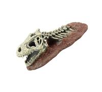 Geavonyg Reptiles Feeding Box Shelter Decoration for Amphibians and Crawling Pet Enclosures Resins Hideaways Dinosaurs Hide Decoration