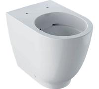Geberit Free Standing Wc Btw Rimfree Toilet Pan White (Pan Only) 500.602.01.2