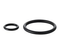 Geberit Seals Sealing kit for UP-SPK armoured hose from 2002