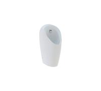 Geberit Selva Rimless Urinal For Concealed Flush Control - White
