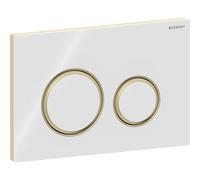 GE Sigma21 Bidet, For 2-Quantity Flushing Metal Color Brass, White