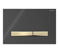 Geberit Sigma50 Square WC Dual Flush Plate - Black & Brass Black - 115.672.DW.2