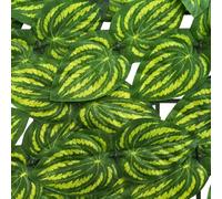 Gecheer Balcony Screen with Leaves Green and Yellow 600 x 150 cm 42040651