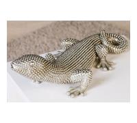gecko carlo poly ornament in silver