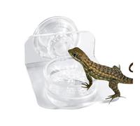 Gecko Feeder Ledge - Plato De Comida Para Reptiles | Gecko Feeder Ledge Con Imán Y - Bandeja De Agua Y Food Para Lagartos, Camaleones Ranas Arbóreas, Resistant Acrylic