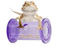 Gecko Feeder Slow Feeding Reptile Toys