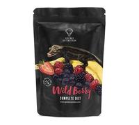 Gecko Nutrition Complete Crested Gecko Diet, Wild Berry & Insects, 250g | Complete Crested Gecko Diet