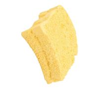 Gecko Shedding Board Realistic Scratch-Resistant Molting Tool | Crested Gecko Shedding Aid for Terrarium Habitat Tank Breeding Box Bearded Dragon Lizard Snake